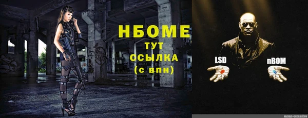 сатива Аркадак