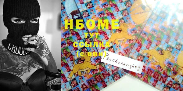 сатива Аркадак