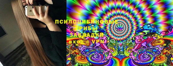 сатива Аркадак