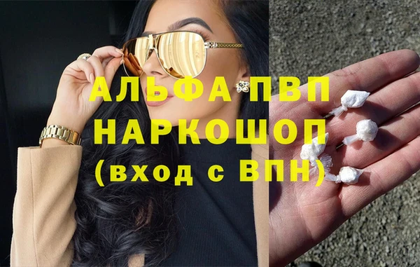 сатива Аркадак