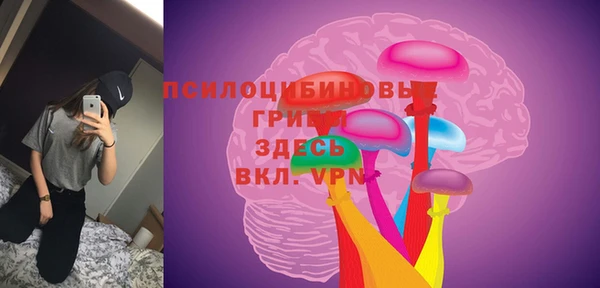 трава Арсеньев