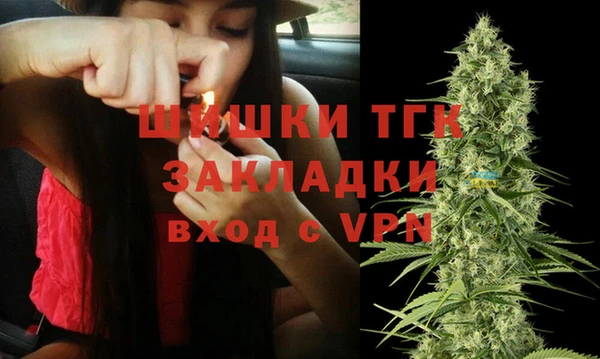 сатива Аркадак